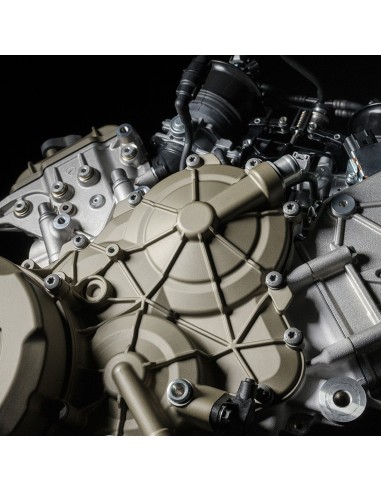 Acrylic Color Ducati Engine Metallic Pale...