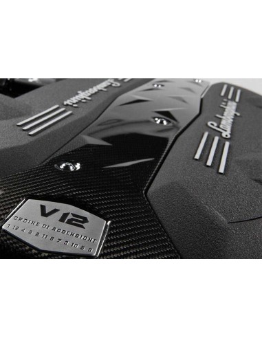 Wrinkle Paint Black Harley Davidson...