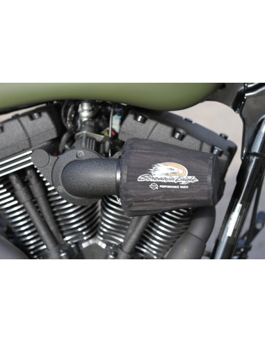 Tiefschwarze Strukturfarbe Harley Davidson...