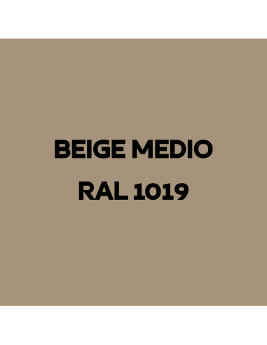 Resina Pavimenti Beige Medio Opaco Ral 1019 Garage Officine Appartamenti Terrazze Piscine Docce