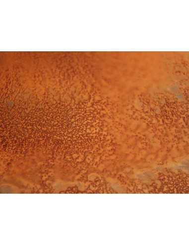 Aktivator 1 Für Oxidierte Farben 50ml (Dunkle...